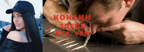 крисы Аркадак