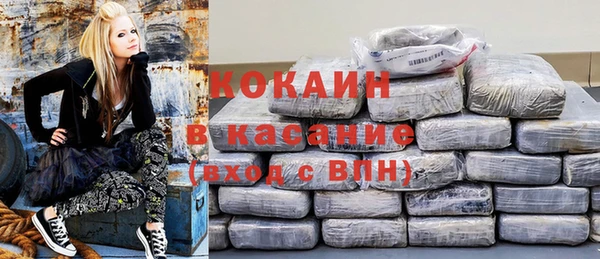 крисы Аркадак