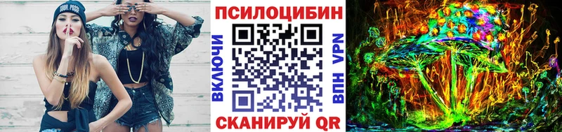купить  сайты  hydra сайт  Галлюциногенные грибы Psilocybe  Гуково 